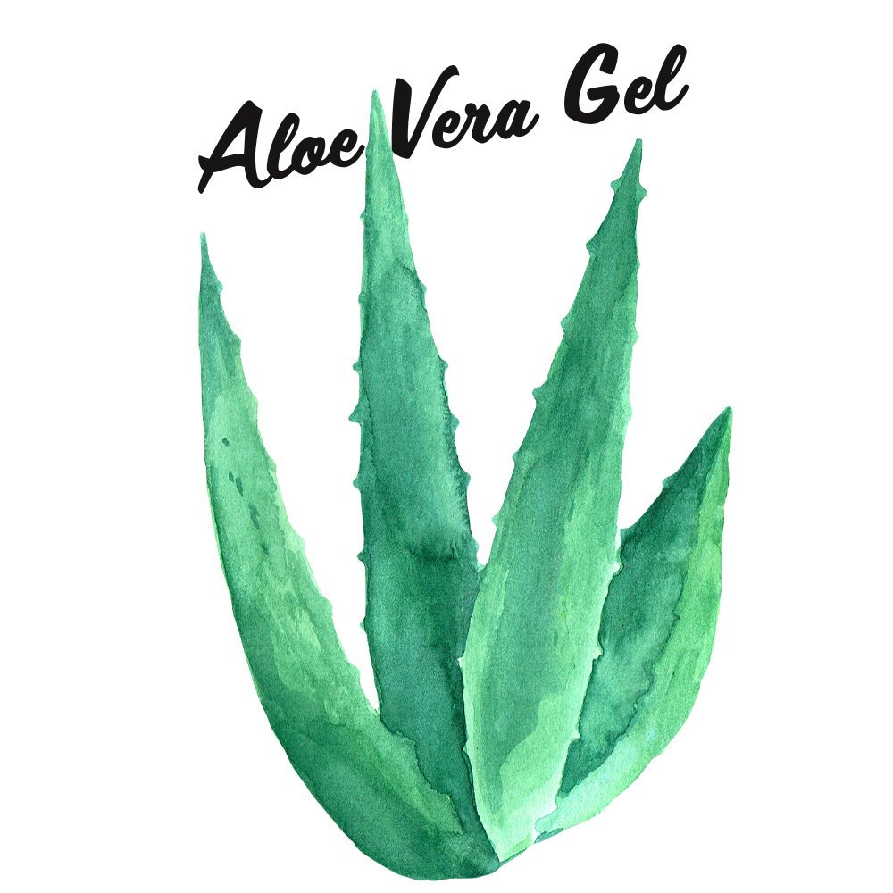 Aloe Berry Nectar