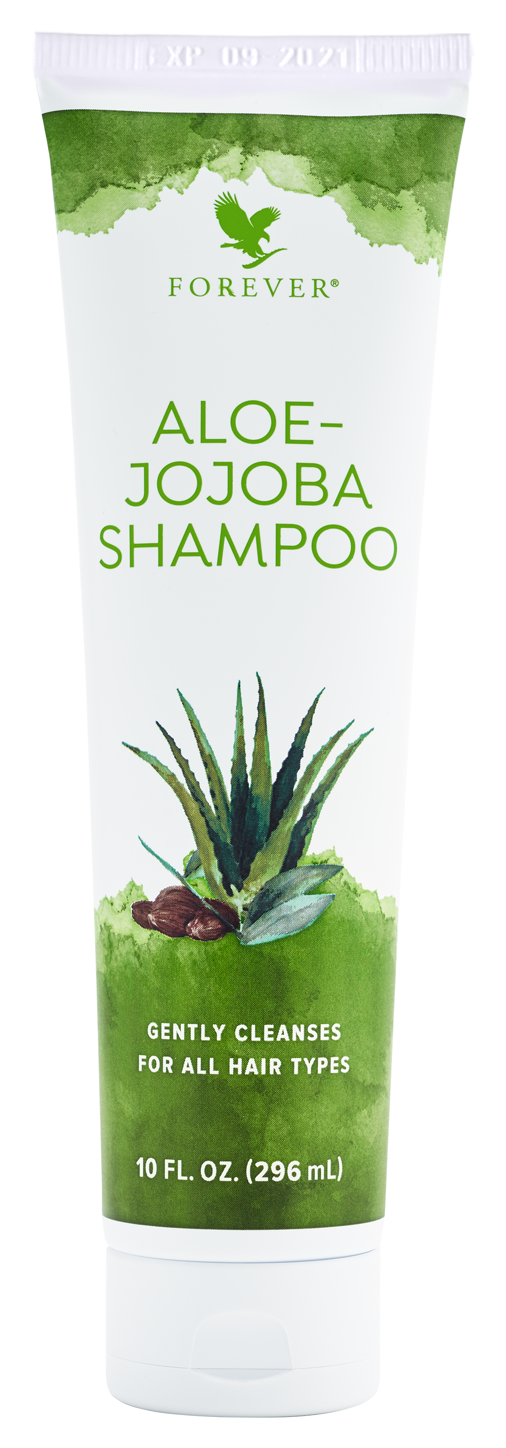 Aloe-Jojoba Shampoo